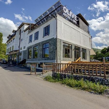 Olive Ala-Archa Hotel & Spa Verkhnyaya Alaarcha Luaran gambar
